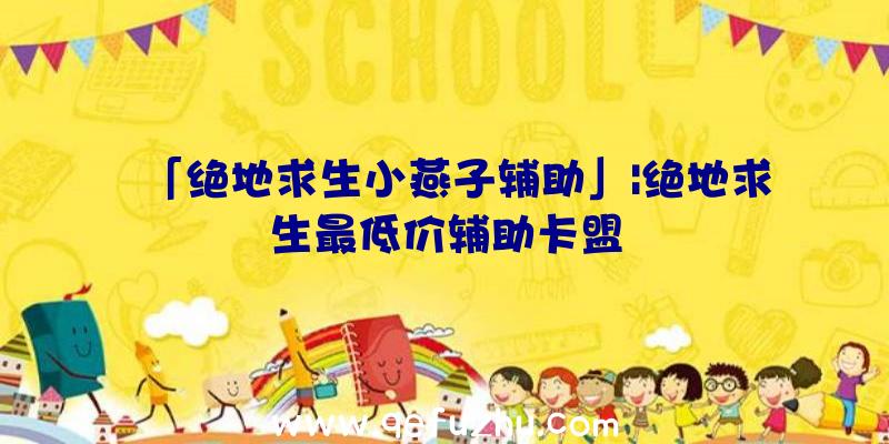 「绝地求生小燕子辅助」|绝地求生最低价辅助卡盟